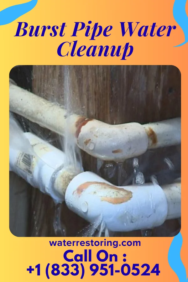 Burst Pipe Water Cleanup in Bull Run Mountain Estates, VA