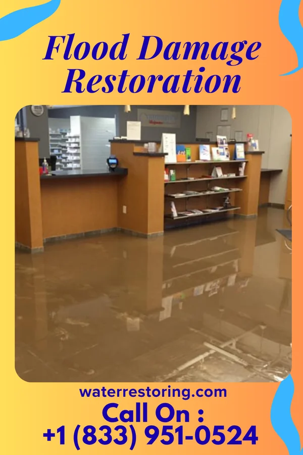 Flood Damage Restoration in Bull Run Mountain Estates, VA