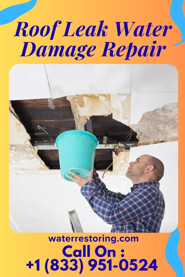 Roof Leak Water Damage Repair in Bull Run Mountain Estates, VA