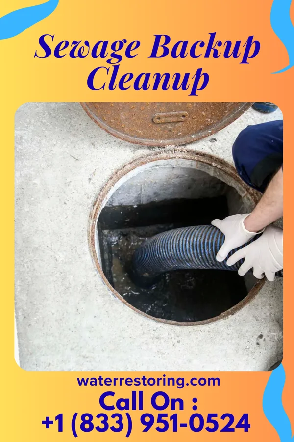 Sewage Backup Cleanup in Bull Run Mountain Estates, VA