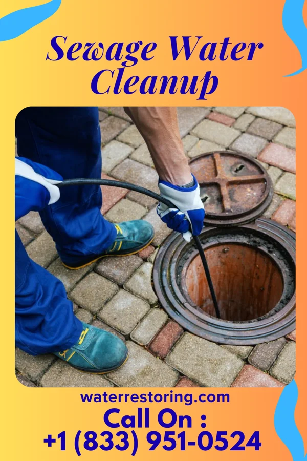 Sewage Water Cleanup in Bull Run Mountain Estates, VA