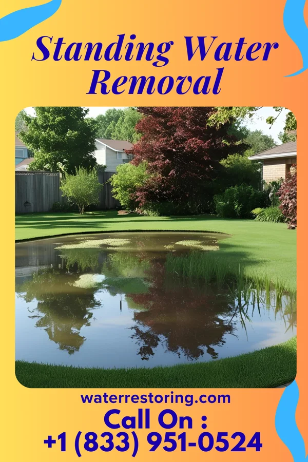 Standing Water Removal in Bull Run Mountain Estates, VA